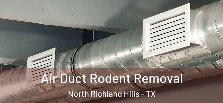  Air Duct Rodent Removal North Richland Hills - TX