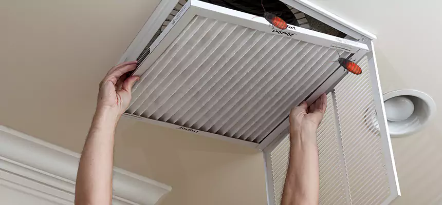Preventive Cockroach-Proofing for Ducts in North Richland Hills