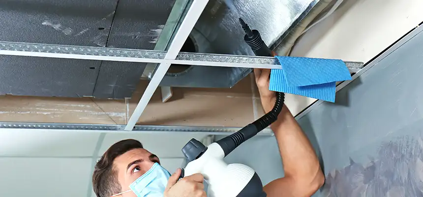 Our Air Duct Rodent Removal Services in North Richland Hills, TX