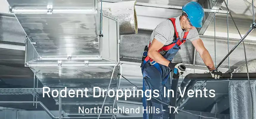  Rodent Droppings In Vents North Richland Hills - TX