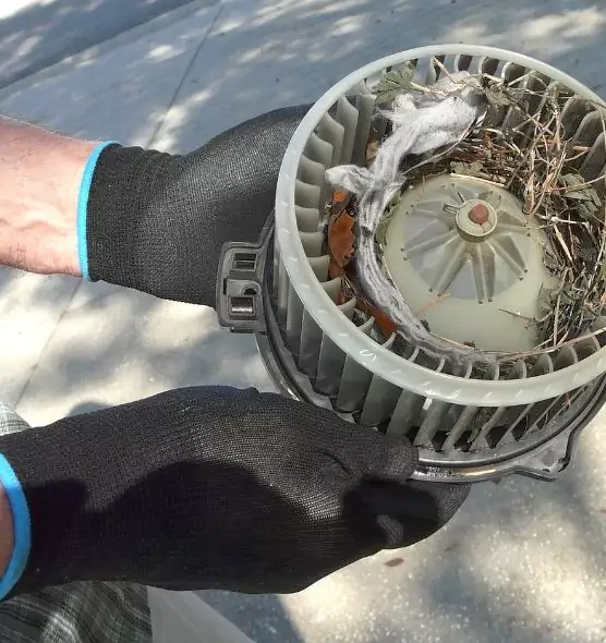 About Air Duct Rat Removal in North Richland Hills, TX