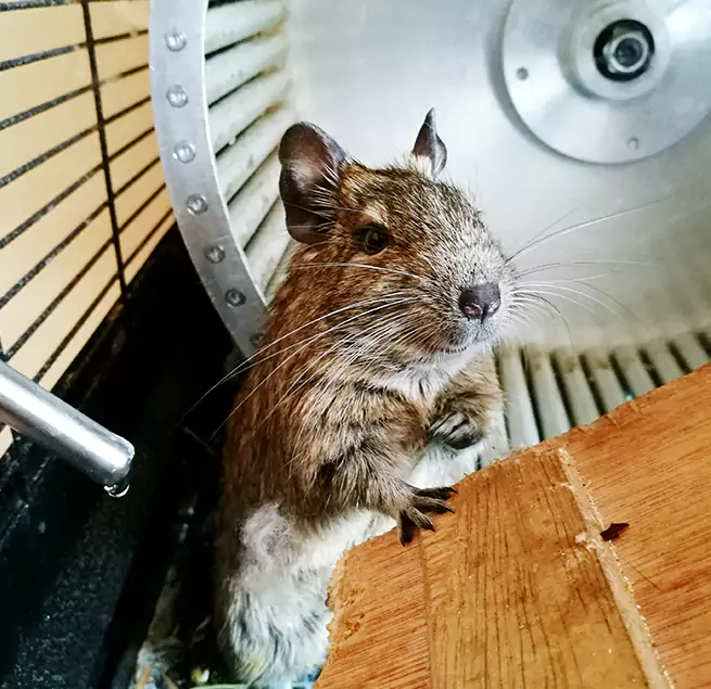 Why Homeowners & Businesses Trust Us North Richland Hills, TX?